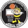 https://img.hbklwjd.com/img/basketball/team/e416830f4083698237c559f8988ddb25.png