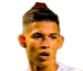 https://img.hbklwjd.com/img/football/player/256dcd3c814bd8fea3fab644d67a539f.png