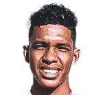 https://img.hbklwjd.com/img/football/player/6e1493dc3877771941f21264dc1ec3aa.png