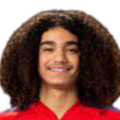 https://img.hbklwjd.com/img/football/player/87359ed9061cfd73513d827263deebcd.png