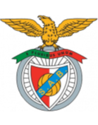 https://img.hbklwjd.com/img/football/team/13d8d22b32e0803f939082416da63541.png